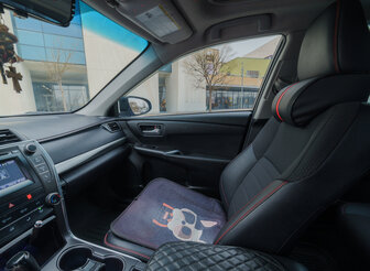 Driver image additional